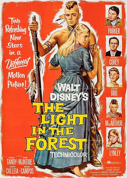 The Light in the Forest